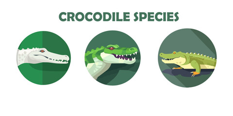 set of crocodile logo vector