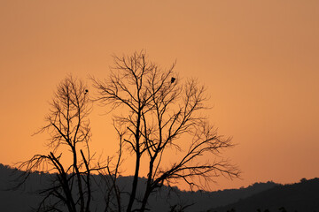Fototapeta premium sunset of the day