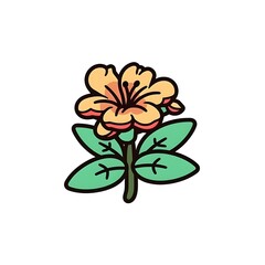 Azalea Wonder Delicate White Azalea in Full Bloom 