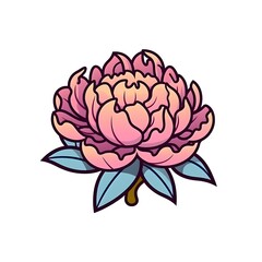 Pristine Peony Luxurious  Peony Bloom