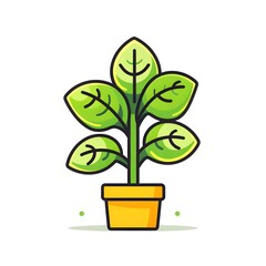 Tiny Marvel Adorable Small Plant with Delicate Leaves