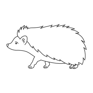 Hedgehog Illustration In Line Art Style Isolated On White Background. Wild Or Woodland Animals Theme For Coloring Pages.