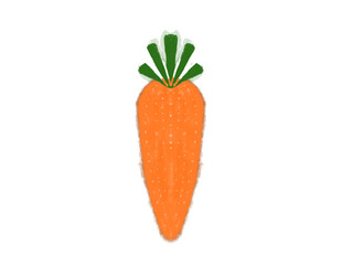 carrots vector isolated 