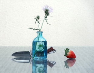 Folding knife, shore thistle and strawberry - 613182903
