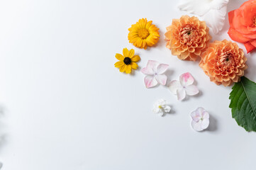 たくさんの花