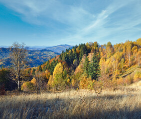 Fototapeta premium Autumn mountain Nimchich pass (Carpathian, Ukraine) and colorful trees on hill.