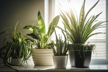 Air-purifying plants to improve home indoor air quality. Air-purifying houseplants, like spider plants and peace lilies, can help remove toxins from the air. AI generative
