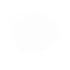 White stain. White brush stroke.