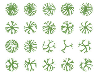 Trees top view. Landscape vector illustration.
