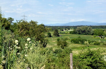 Fr&uuml;hlingslandschaft in Freiburg-Opfingen