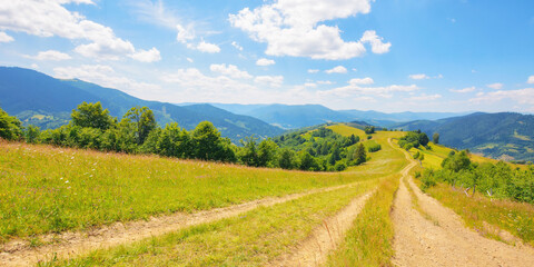 dirt road through grassy meadow. rural landscape in mountains. outdoor recreation in summer. travel ukraine