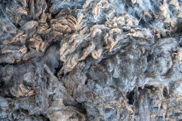 Pile of unprocessed grey merino or sheep wool. Wool texture as background, closeup