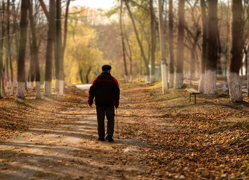 Silhouette Of An Elderly Man In The Autumn Park Sidewalk