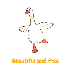 White goose runs with its wings spread. Inscription beautiful and free. Wild or household bird. Colorful vector isolated illustration hand drawn doodle