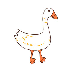 White goose walks. Wild or household bird, farming. Poultry. Colorful vector isolated illustration hand drawn doodle