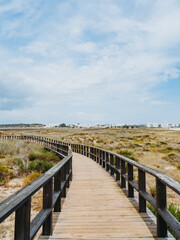 Wooden walkway or walking path to the ocean among sand dunes overgrown with grass