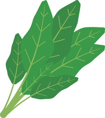 ほうれん草のアイコン