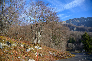 Paysage rural en hiver