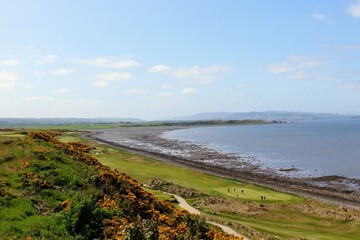 Fototapeta na wymiar An incredible view of a golf hole in Scotland with the ocean in the background in Inverness, in the highlands of Scotland during spring with the gorse bush in full yellow bloom and beside the ocean