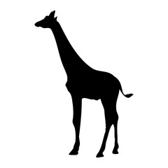 giraffe silhouette vector