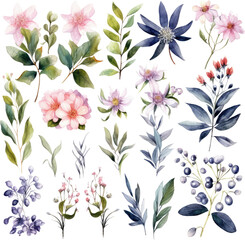 Wildflower paintings, floral art, watercolor inspiration