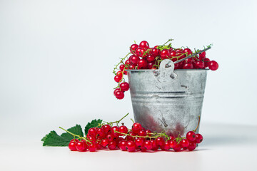 Red currant isolated on white background