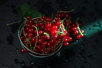 Small bucket with red currants on a black background