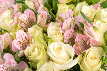 Full frame of blooming rose and alstroemeria flower buds.
