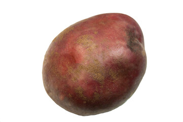 potatoes on a white background. good harvest concept. ripe potatoes on a light texture 