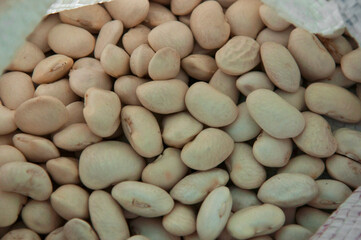a lot of white beans on the table. bean seeds close up. the concept of growing legumes.