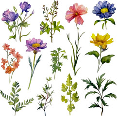 Wildflower paintings, floral art, watercolor painting inspiration