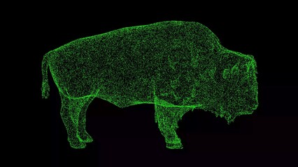 3D buffalo on black background. Object made of shimmering particles. Wild animals concept. For title, text, presentation. 3d animation.