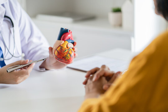 Cardiology Consultation treatment of heart disease. Doctor cardiologist while consultation showing anatomical model of human heart with aged patient talking about heart diseases.