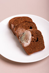 Moldy sliced rye dark bread on white round ceramic plate from above on light background. Spoiled bakery.
