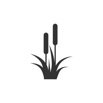 Reed, Cattail, Cane. Flat Vector Icon illustration. Simple black symbol on white background. 