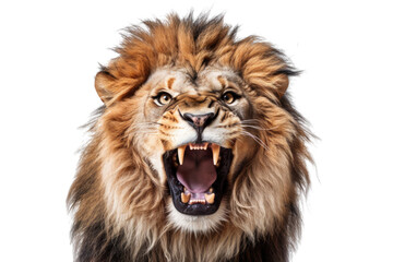 Portrait of a roaring lion with an aggressive look, isolated (Generative AI, Generativ, KI) - obrazy, fototapety, plakaty