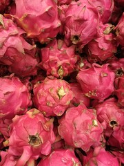 dragon fruits photo
