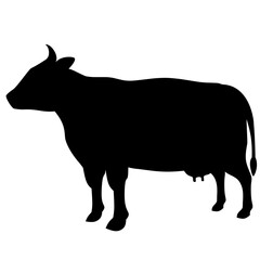 Cattle icon vector illustration. Silhouette cow icon for livestock, food, animal and eid al adha event. Graphic resource for qurban design in islam and muslim culture