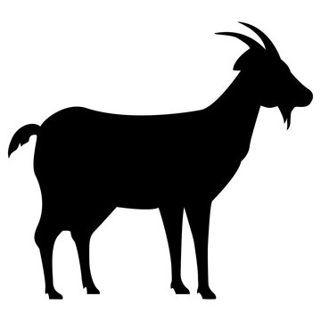goat on transparant background