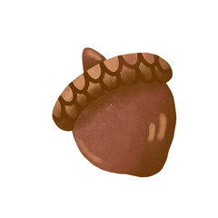 acorn hand drawn illustration