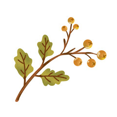 Cranberry branch Hand drawn illustration
