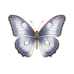 Eastern tailed-blue butterfly -  Cupido comyntas. Transparent PNG. Generative AI