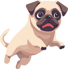 Cute pug baby dog