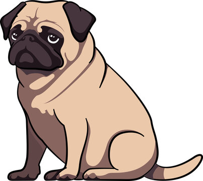 Cute pug baby dog with outline