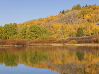 Beautiful Scenic Reflection Landscape in the Tetons in Autumn