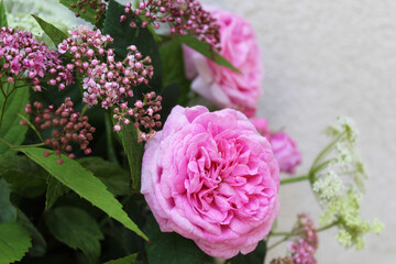 background for a greeting card, a bouquet of flowers, a rose
