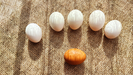 Lots of white eggs and one brown egg on rag jute cloth. Concept of individuality, exclusivity. Bullying, group and confrontation. Leadership and confidence. Agricultural Production of eggs, incubator