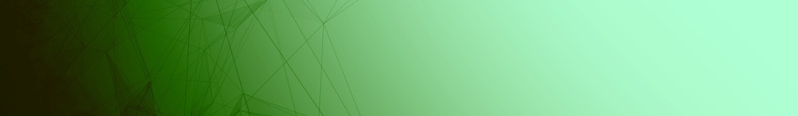 Green white gradient wide web banner background. Fantasy abstract technology, engineering and science wallpaper with particles and plexus connected lines. Wireframe 3D illustration and copy space