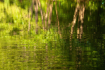 reflection in water