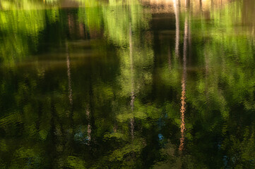 reflections in the water